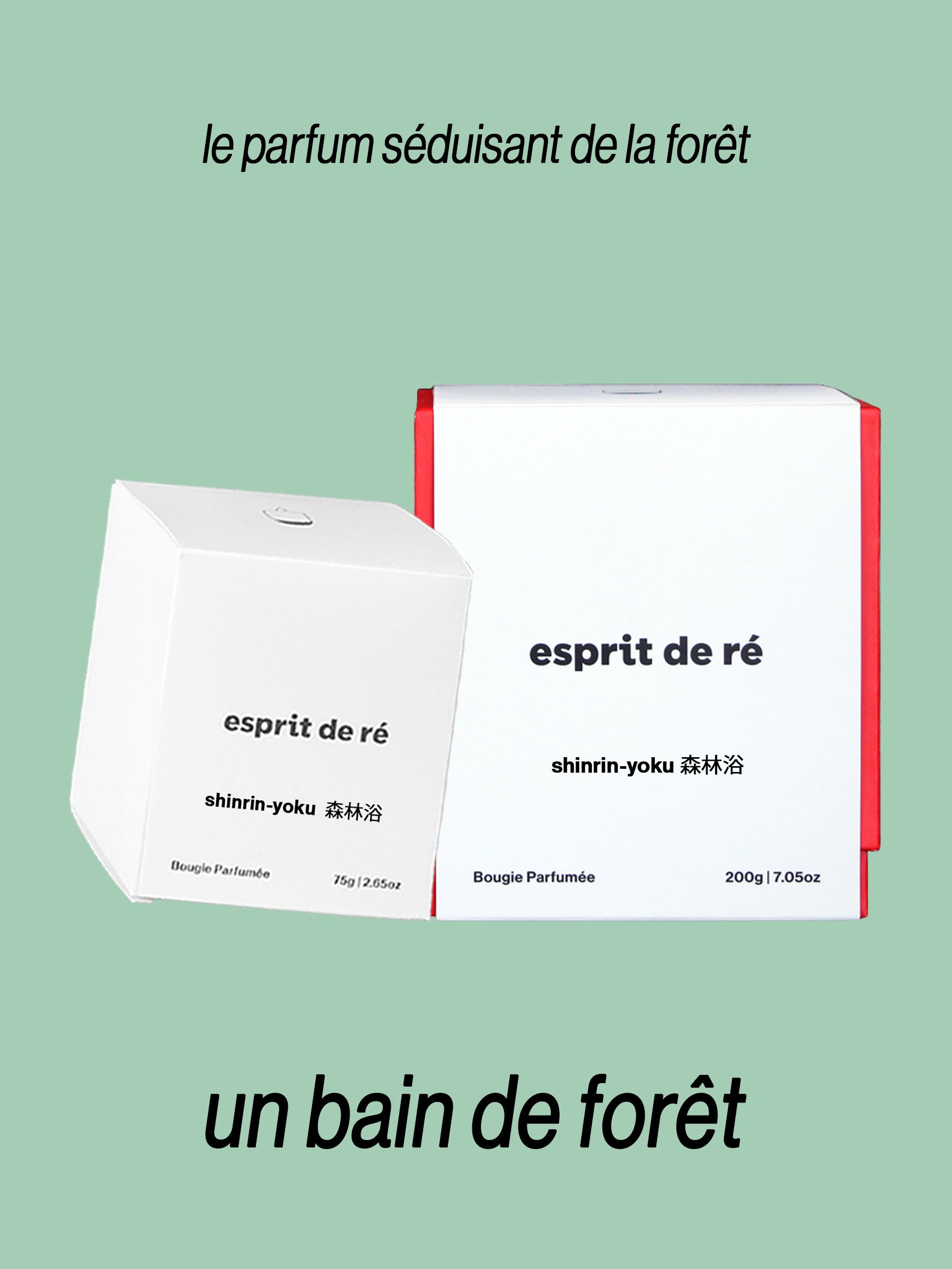 Shinrin-Yoku 森林浴