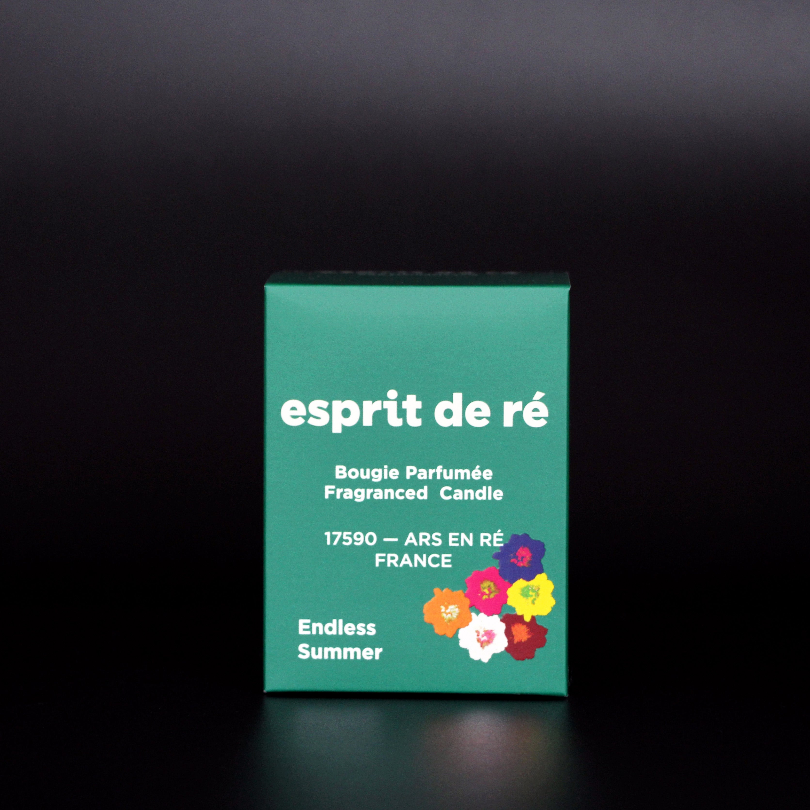 Endless Summer (Fin de série)