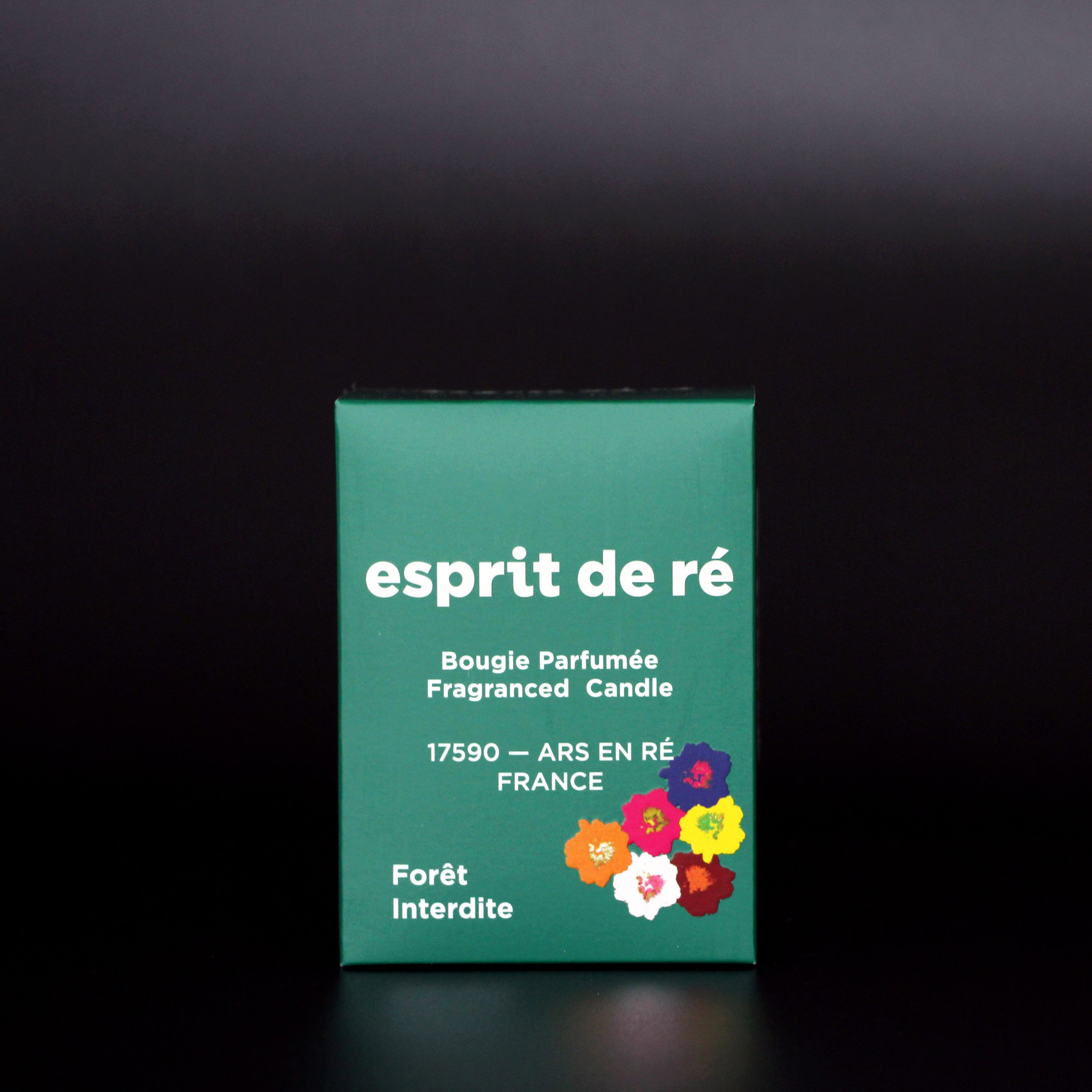 Le Forêt Interdite (FIN DE SÉRIE)