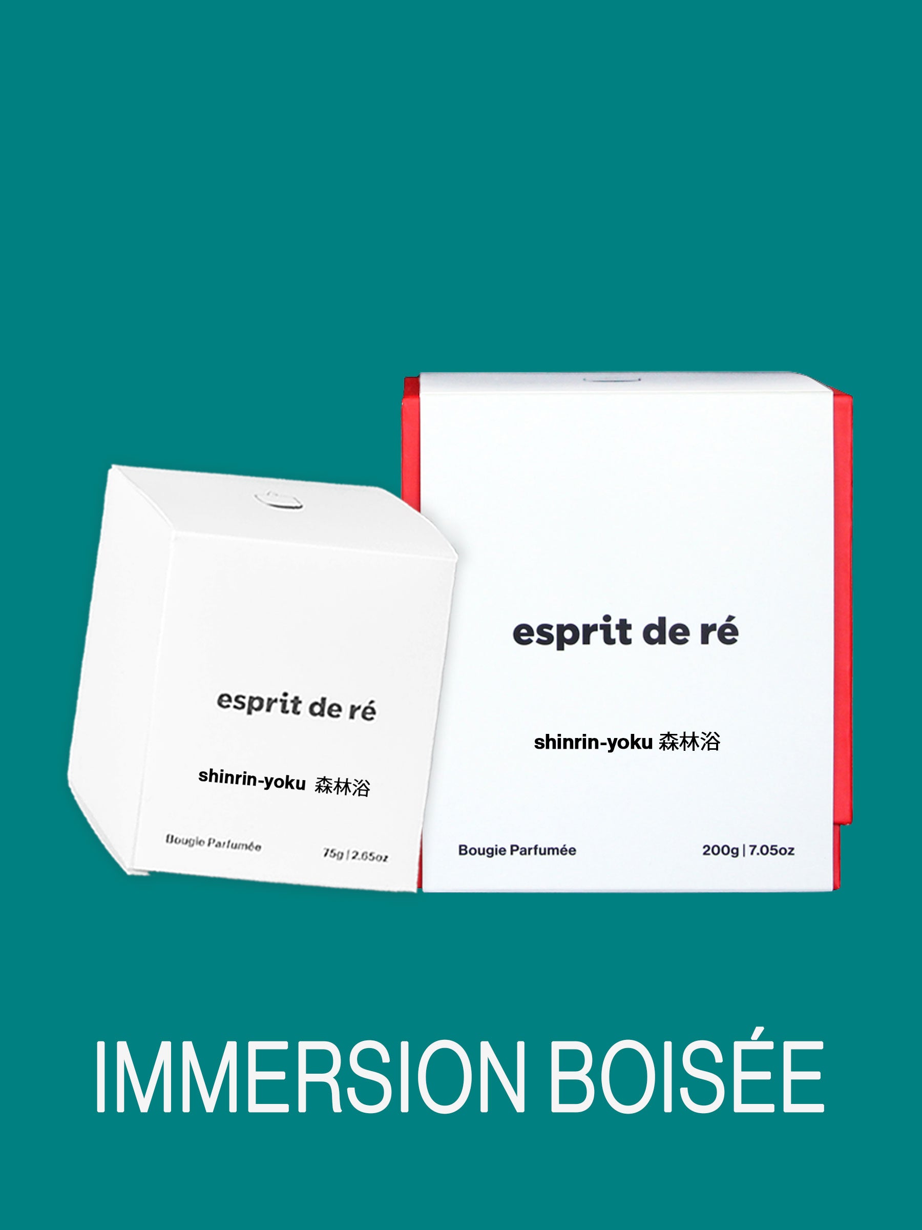 Shinrin-Yoku 森林浴