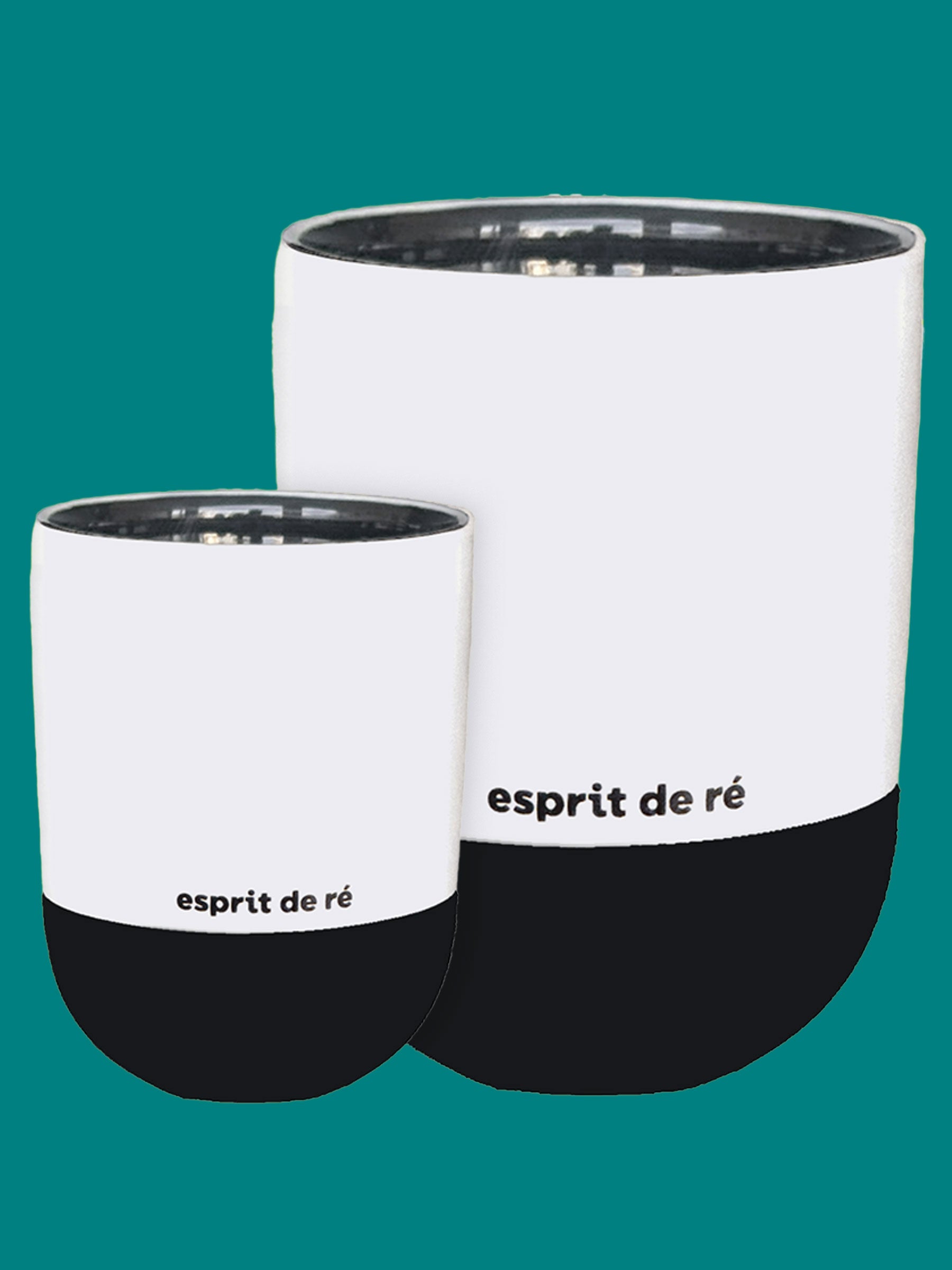 Shinrin-Yoku 森林浴